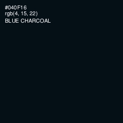 #040F16 - Blue Charcoal Color Image